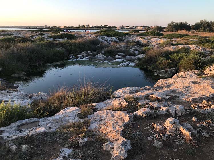 the 5 best beaches in puglia 4 frascone natural park